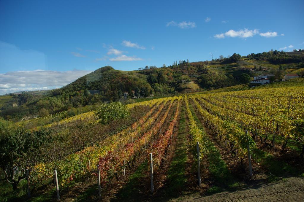 Agriturismo Rupestr Канели Екстериор снимка